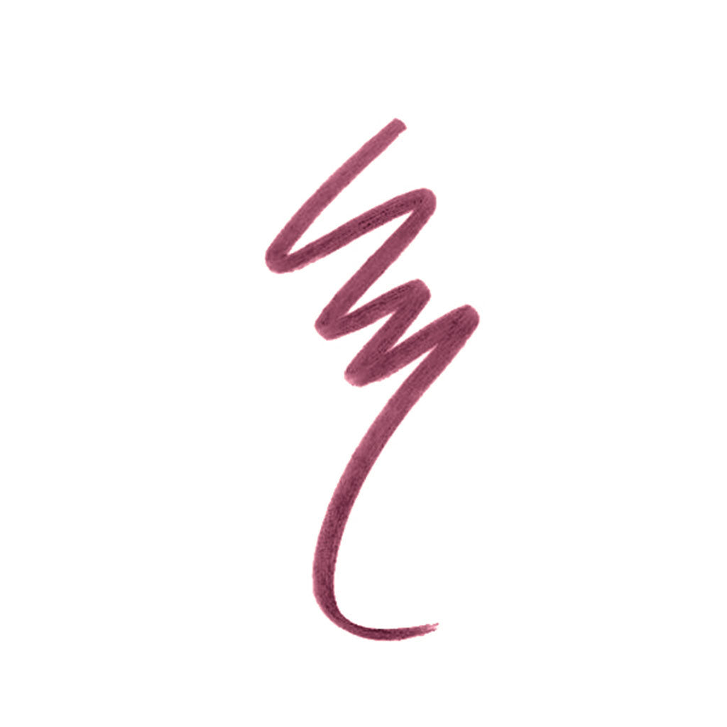 Silky Touch Lip Pencil: PD 09